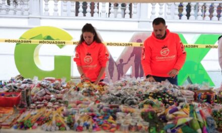 DECOMISA GPE PIROTECNIA