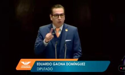 PIDE GAONA AMPLIAR Y ENDURECER PENAS CONTRA HACKERS