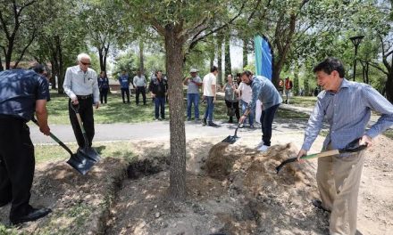 SAN PEDRO PLANTA LOS ENCINOS MÁS GRANDES DEL PROGRAMA GIGANTES VERDES Y SUPERA LOS 500 ÁRBOLES SEMBRADOS