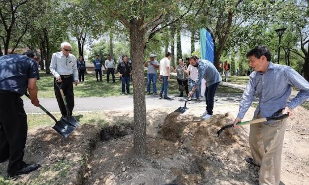 SAN PEDRO PLANTA LOS ENCINOS MÁS GRANDES DEL PROGRAMA GIGANTES VERDES Y SUPERA LOS 500 ÁRBOLES SEMBRADOS