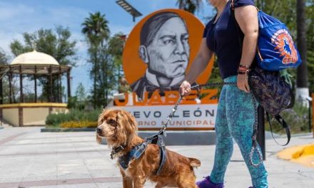 JUÁREZ PREPARA JORNADA PARA PROMOVER ADOPCIÓN Y BIENESTAR DE PERROS