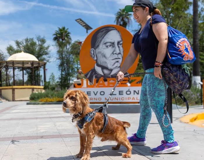 JUÁREZ PREPARA JORNADA PARA PROMOVER ADOPCIÓN Y BIENESTAR DE PERROS